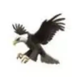 Profile image of 후루이에 란