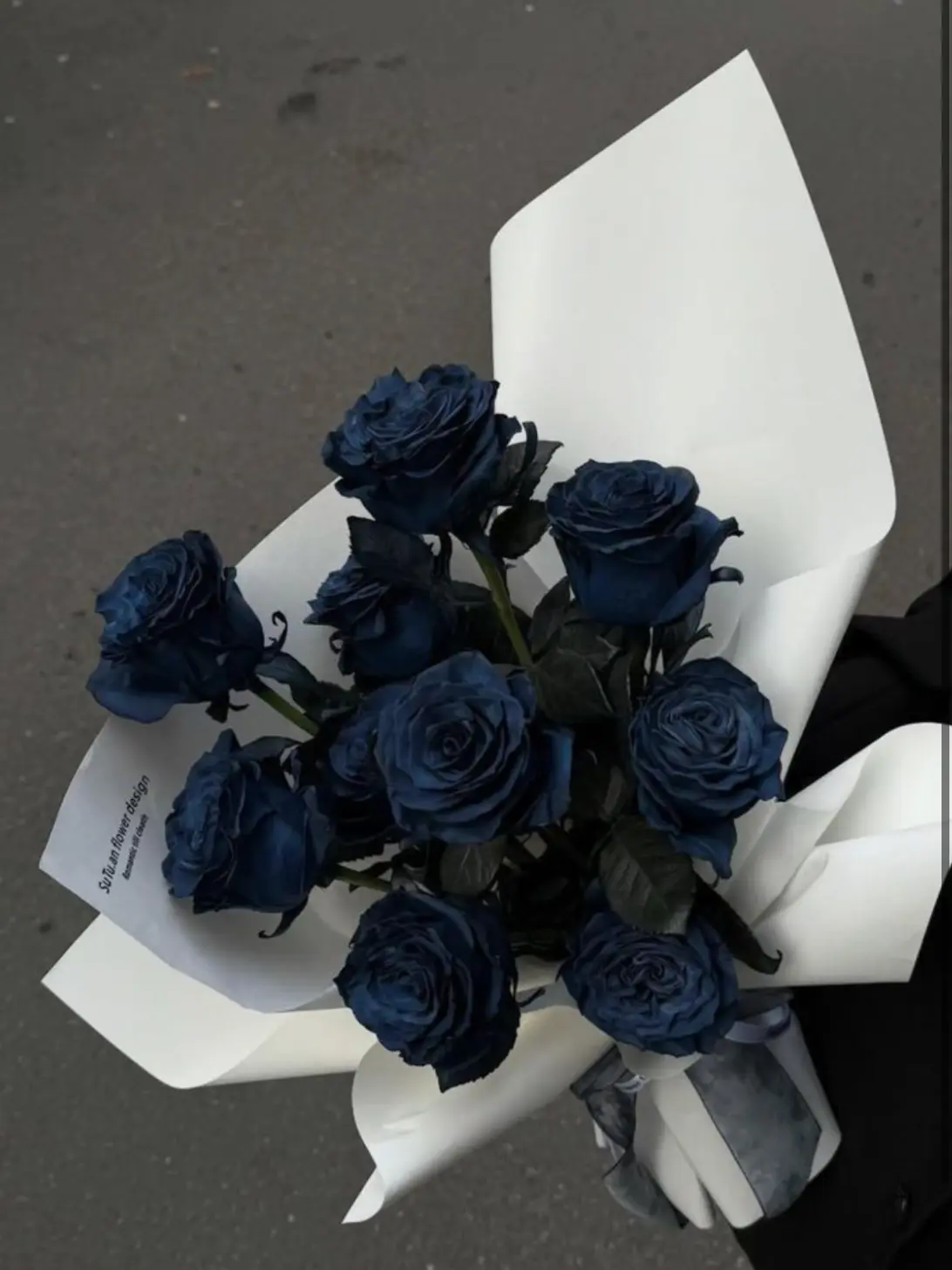 knt_hbr_zeffiro의 敵対組織