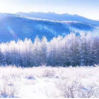 Profile image of 男性陣