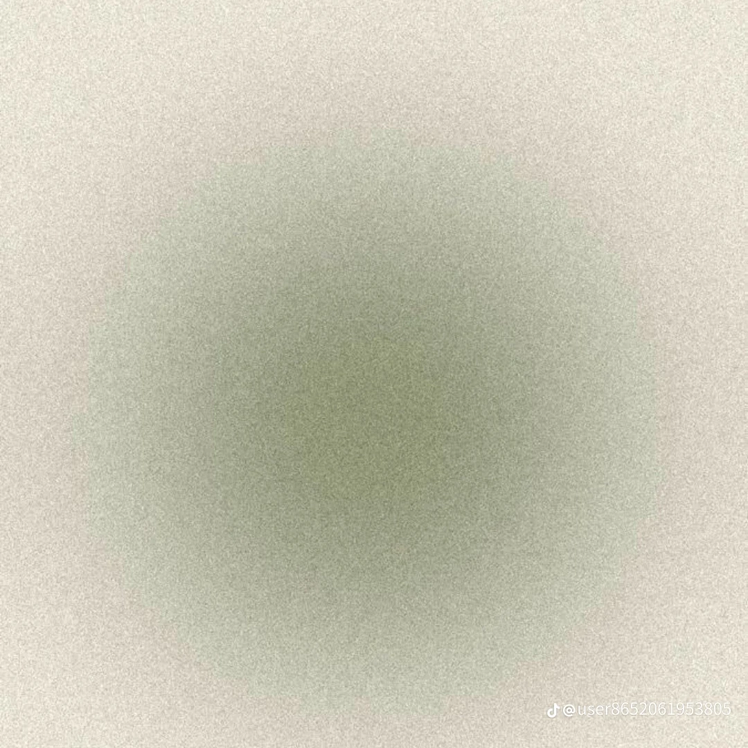 김철수