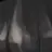 비비 타이버