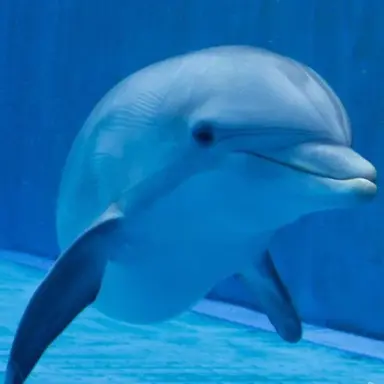 Profile image of 신하람