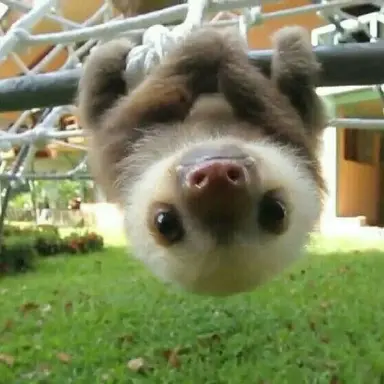 Profile image of 루카