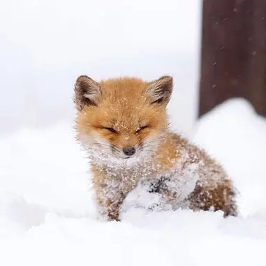 Profile image of 김아사