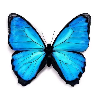 Profile image of 정아현