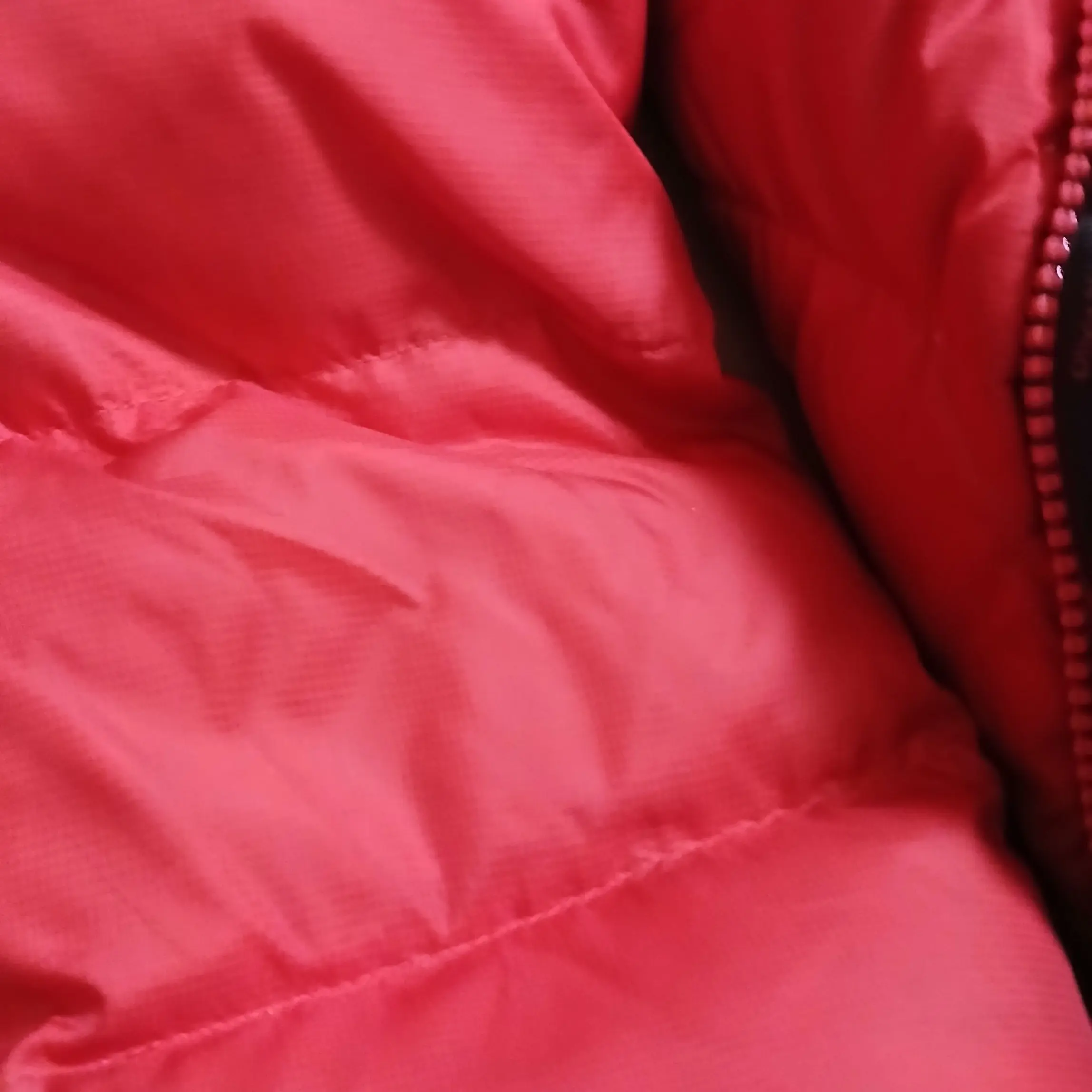 Kimkimkimkimkimkimkimkimkimkim의 뀨