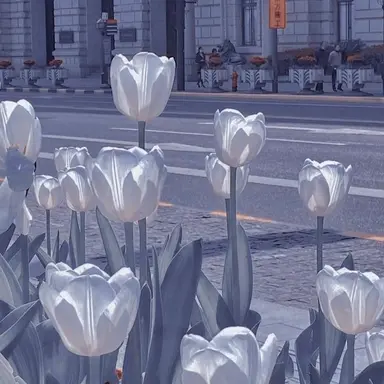 Profile image of 혜비