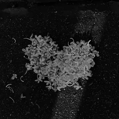 Profile image of 우융