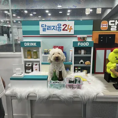 Profile image of 여우