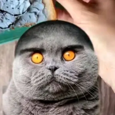 Profile image of 늑대