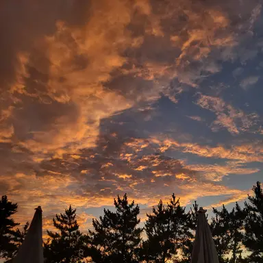 Profile image of 미아