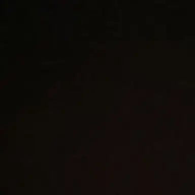 Profile image of 스펙터