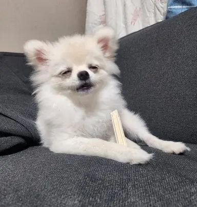 Profile image of 칼라똥꼬