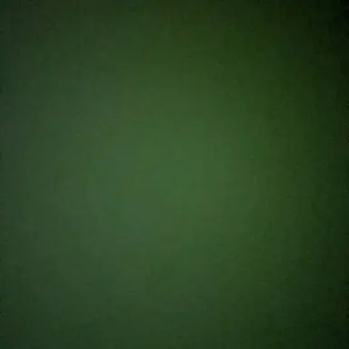 Profile image of 伊月