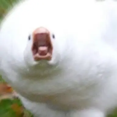 Profile image of 인권