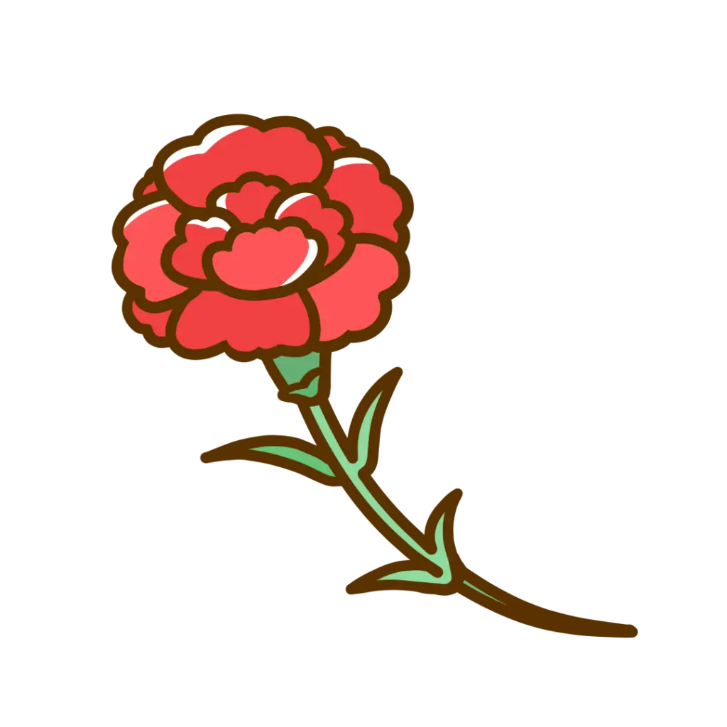 VIDROAPE의 🌹