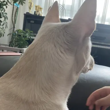 Profile image of 랑붕이