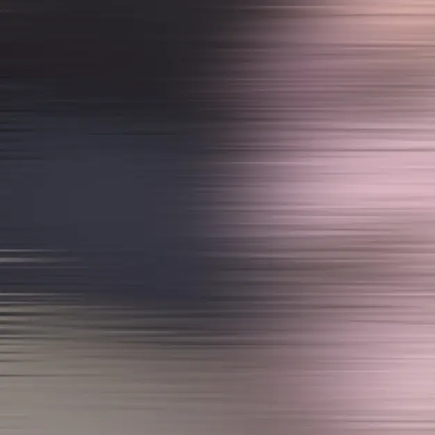 Xenogluegun의 유지민