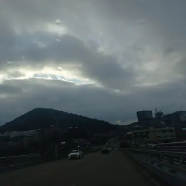 Profile image of 진서련