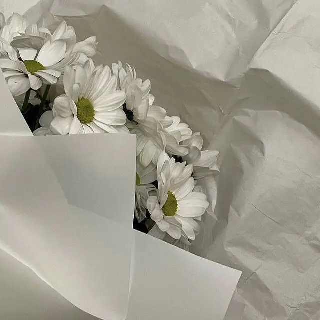 AHEN의 朴鎭英