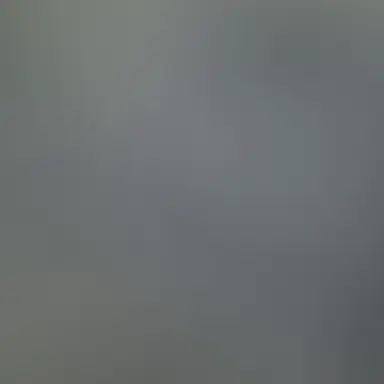 Profile image of 남한