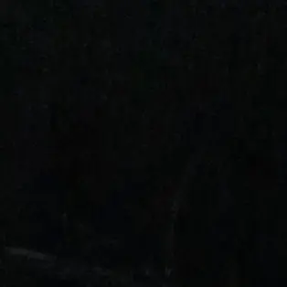 Profile image of 틱톡커 합방