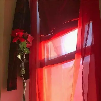 Profile image of 라더