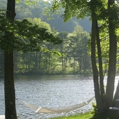 Profile image of 공룡