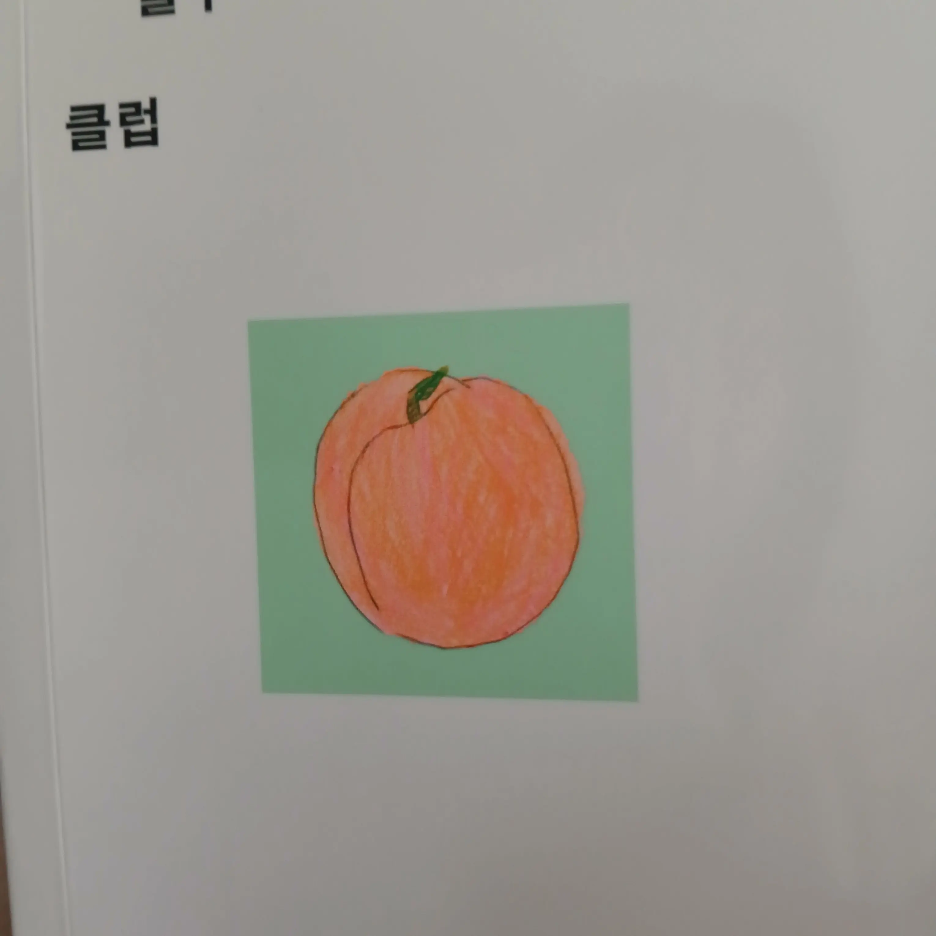 CockyHero9962의 보넥도