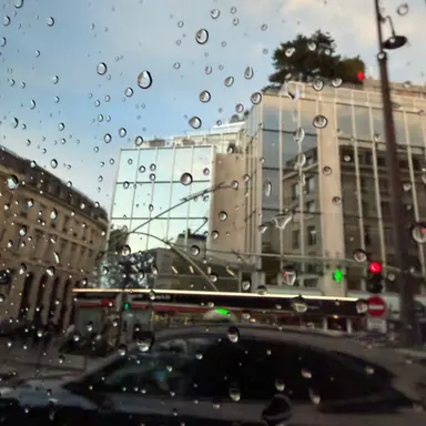 Profile image of 영재