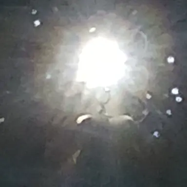 Profile image of 신유