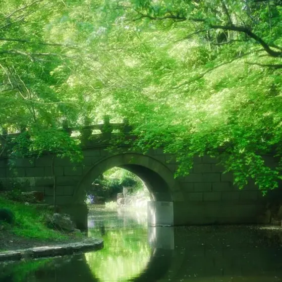 unter_unter_counter의 정공룡