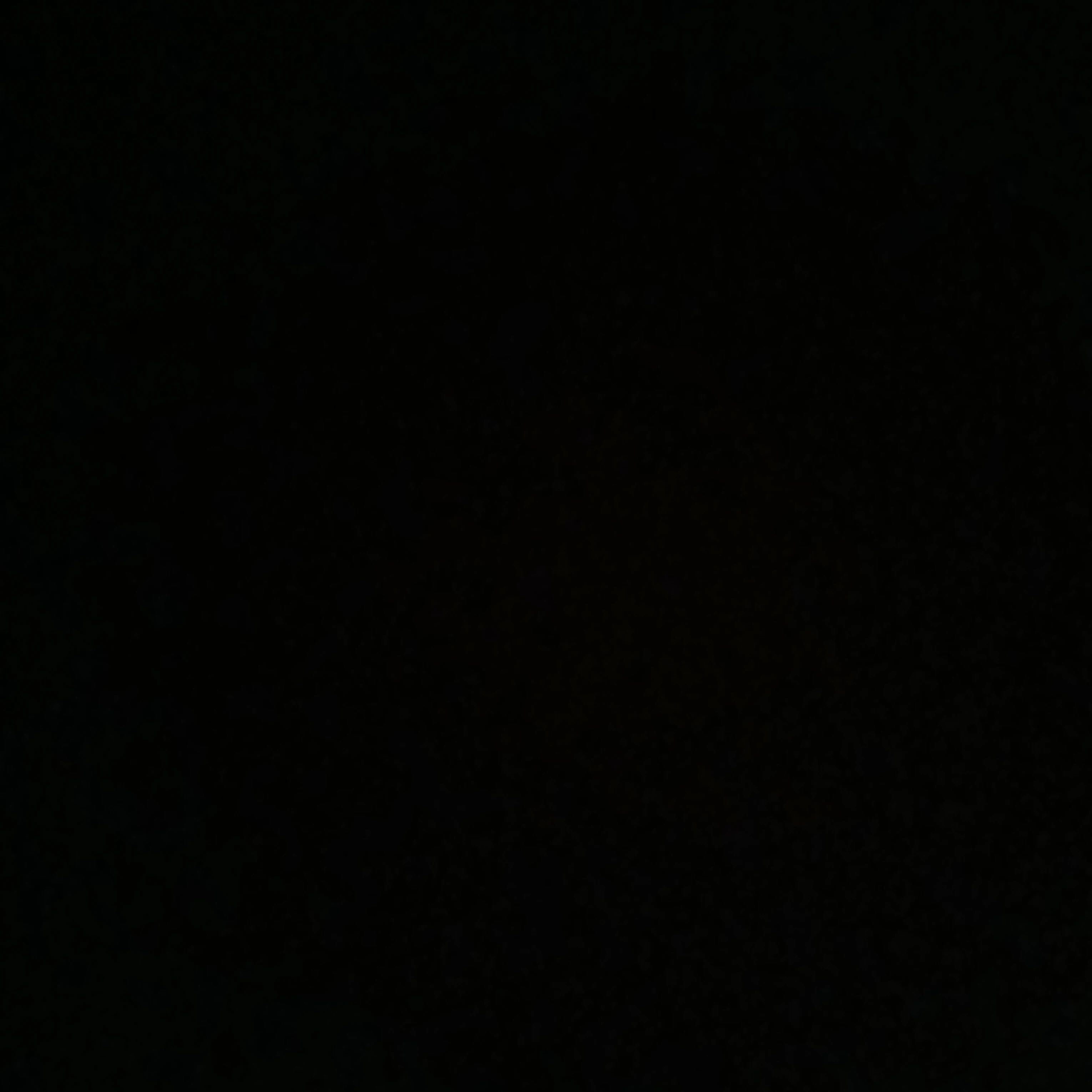5명의 대학생들