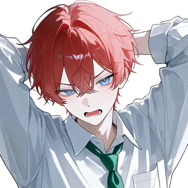 Profile image of Akatsuki