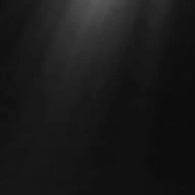 Profile image of サン