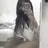 유가은
