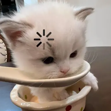 Profile image of みくな