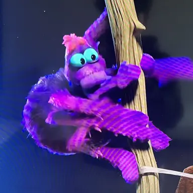 Profile image of 프랭크