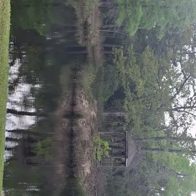 Profile image of Cole