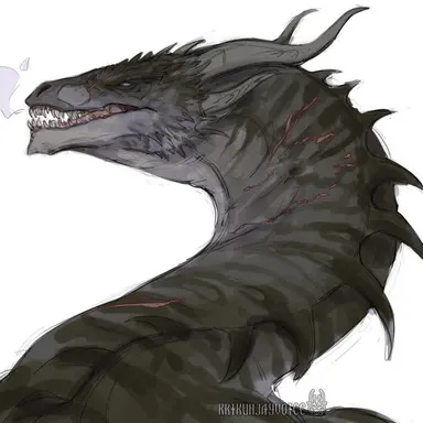 Profile image of 제르칸