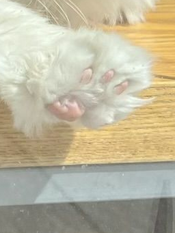그들의 첫맞남은 어땠을까? 대표 이미지