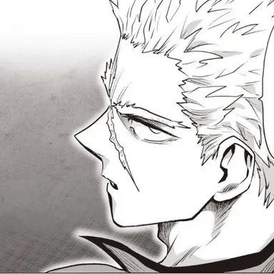 Profile image of Garou