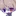 카게노 미카