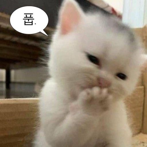 할말이 있습니다. 대표 이미지