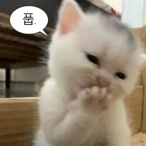 HurtMint1547의 할말이 있습니다.