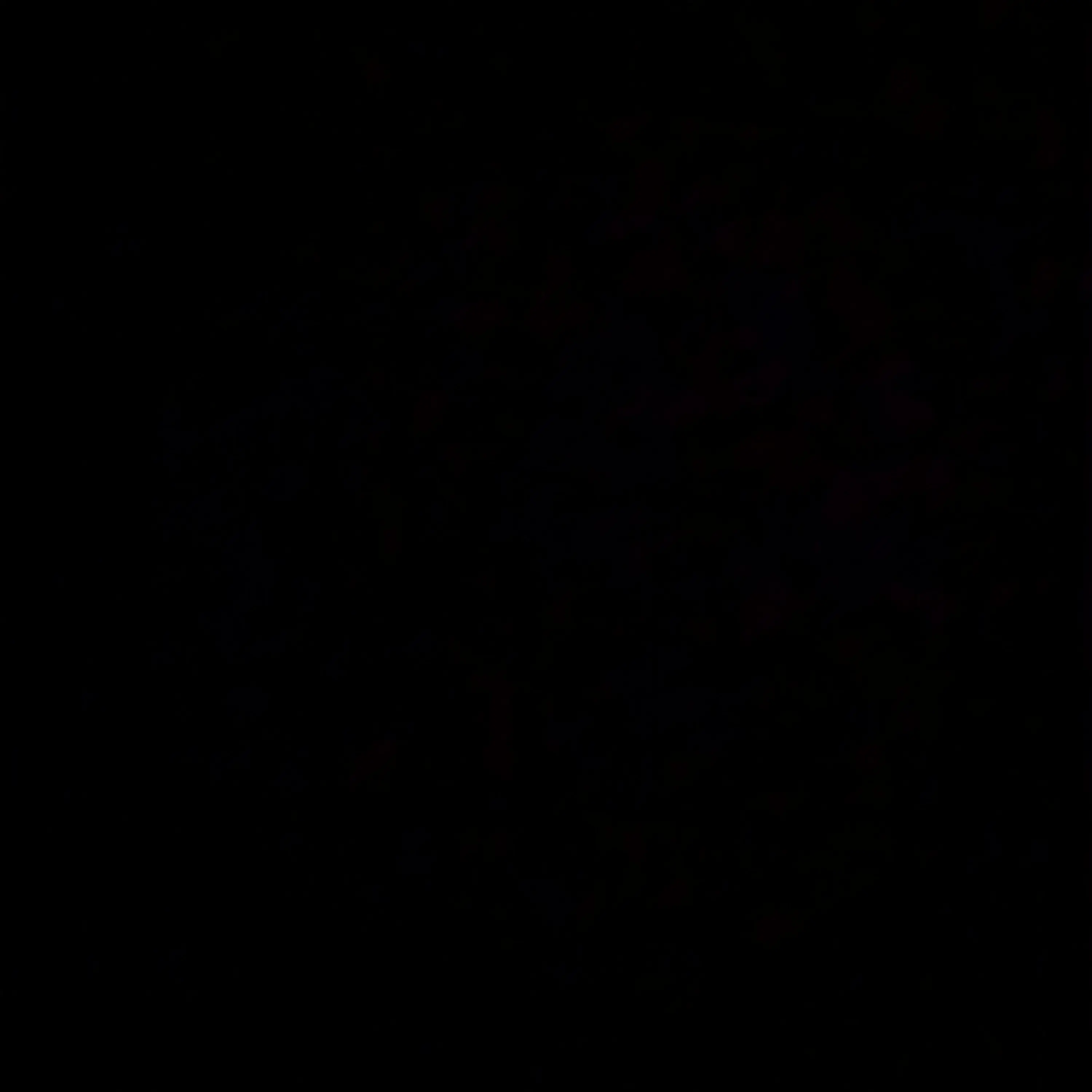 ExoticJuicy3372의 루일