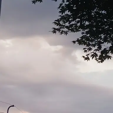 Profile image of 유하연