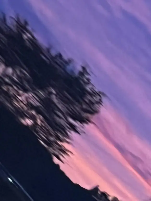 Daosan의 自由