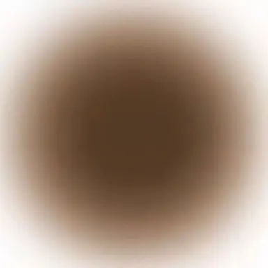 Profile image of チョコ