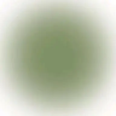 Profile image of タマ